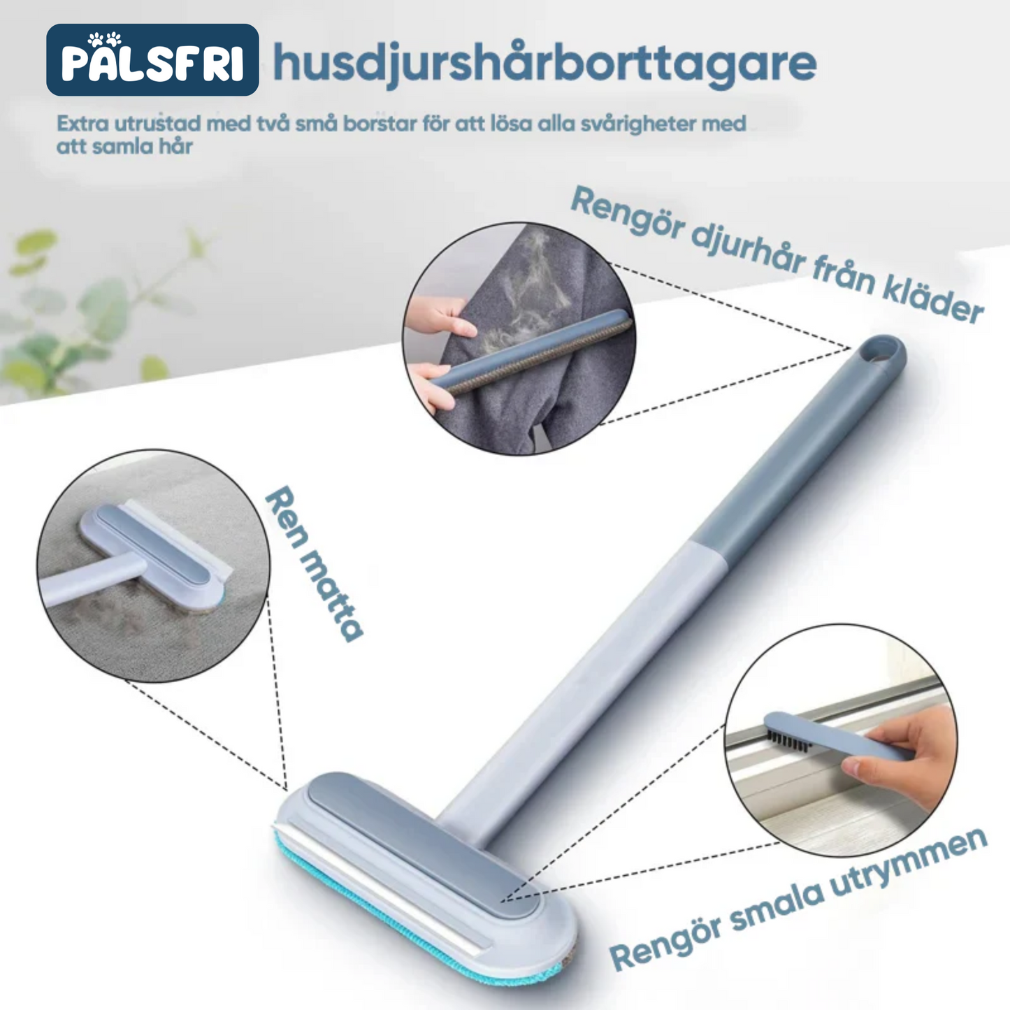 Drömborsten för ett pälsfritt hem