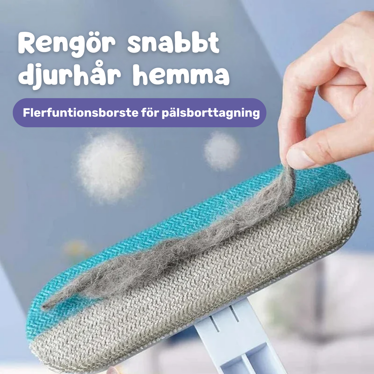 Drömborsten för ett pälsfritt hem