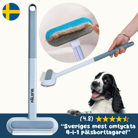 Drömborsten för ett pälsfritt hem